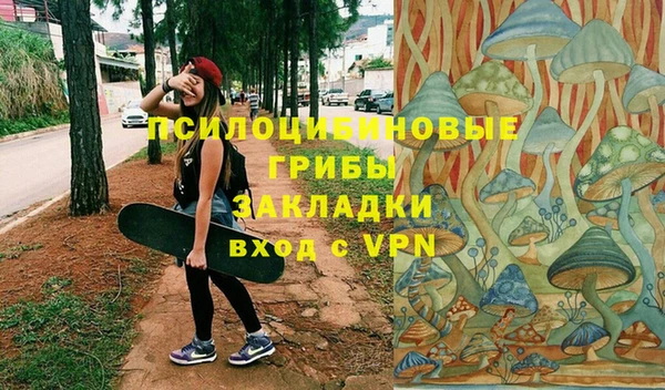 ешки Медногорск