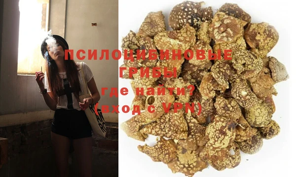 шишки Мегион