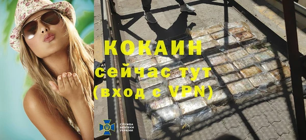 шишки Мегион