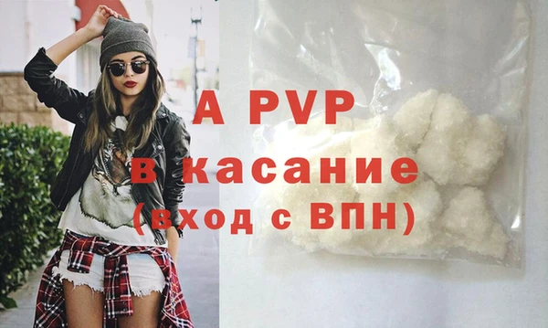 шишки Мегион