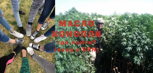 шишки Мегион
