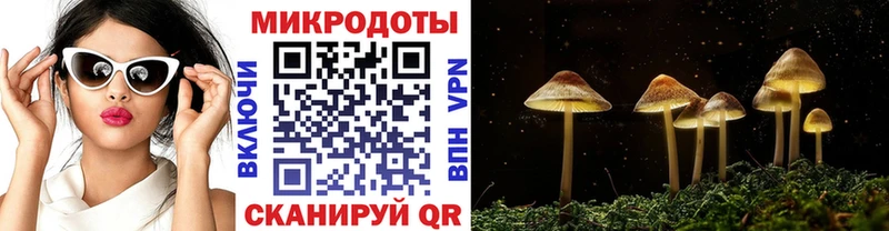 Галлюциногенные грибы MAGIC MUSHROOMS  купить наркотики сайты  Далматово 